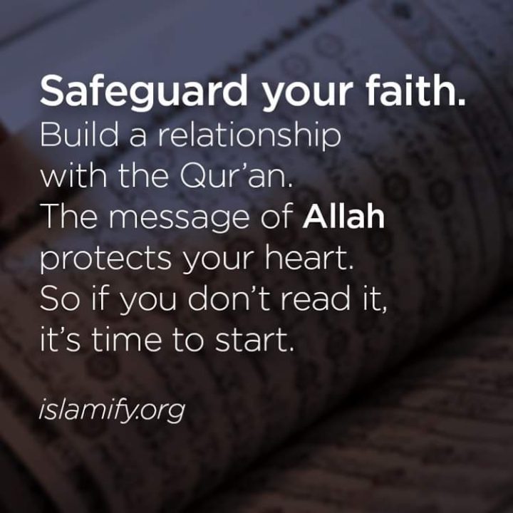 Read the Quran