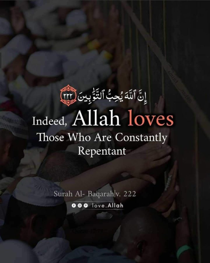 Allah loves those who repent!