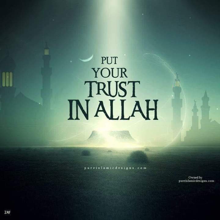 Trust in Allah!