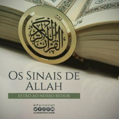 Os Sinais de Allah são visíveis.