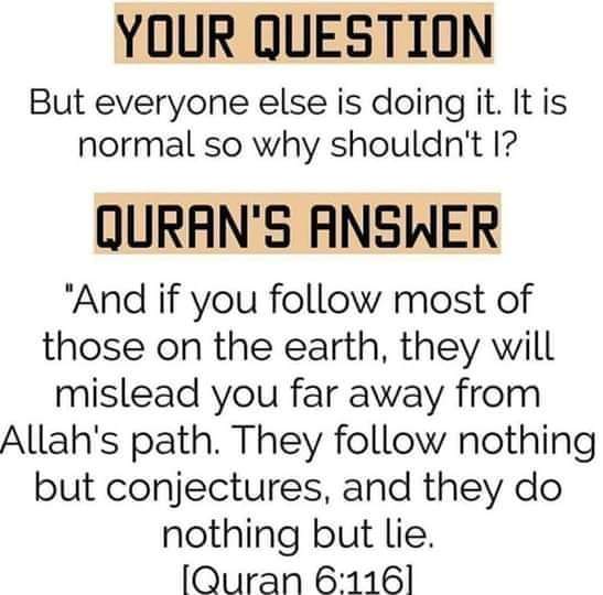 Quran answer